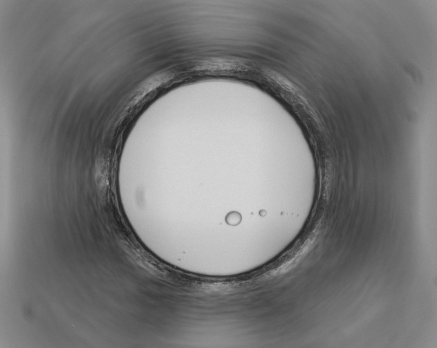 X0000112891017200910021410