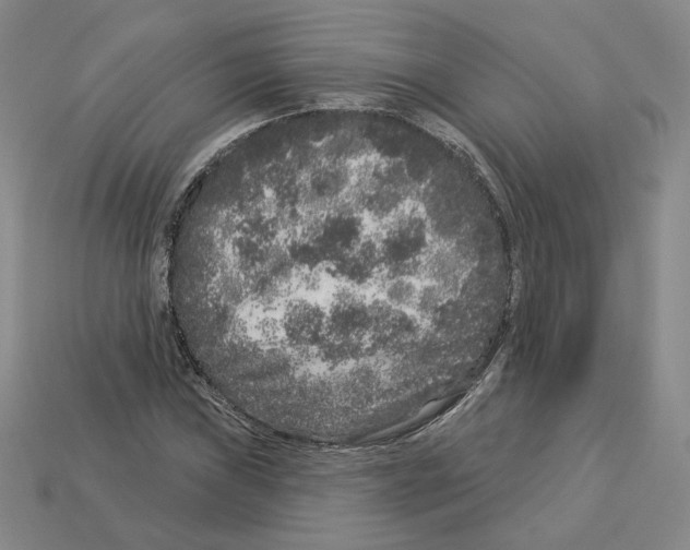 X0000112891019200910021410