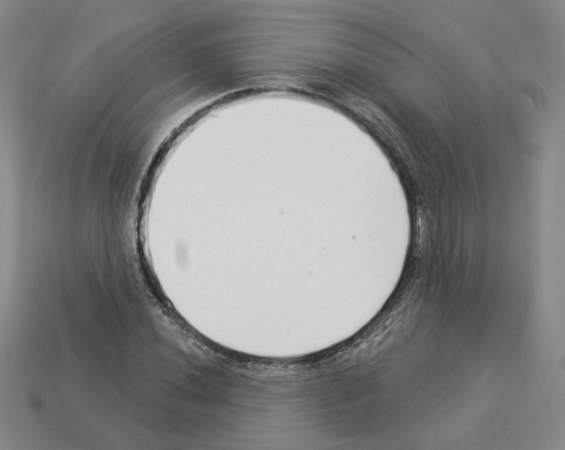 X0000112891020200910021410