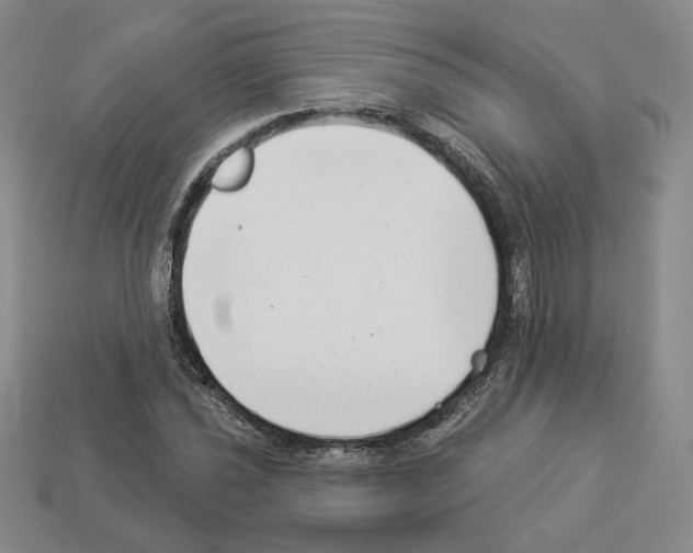 X0000112891021200910021410