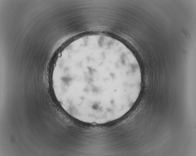 X0000112891022200910021410