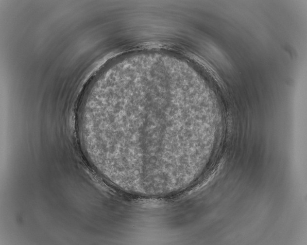 X0000112891023200910021410