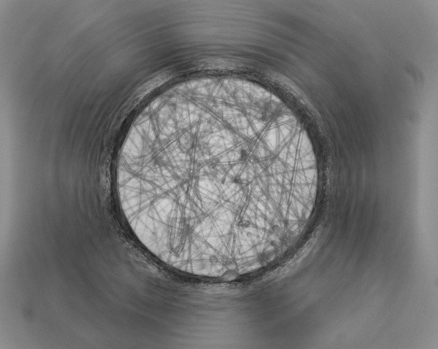 X0000112891025200910021410