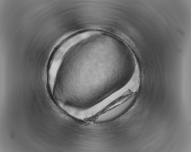 X0000112891028200910021410