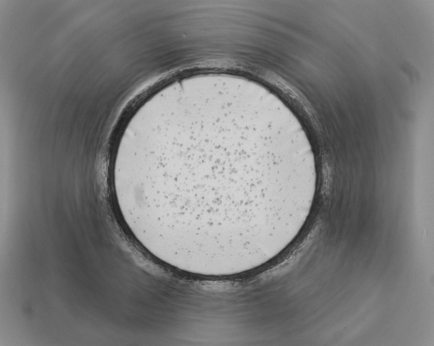 X0000112891029200910021410