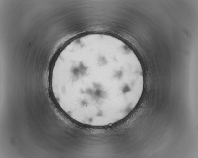 X0000112891030200910021410