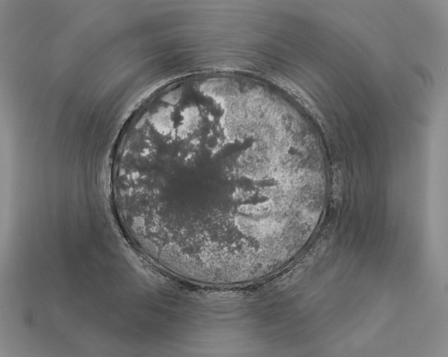 X0000112891031200910021410