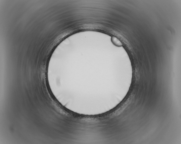 X0000112891033200910021410