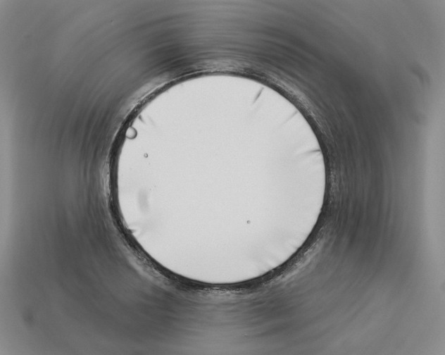 X0000112891034200910021410