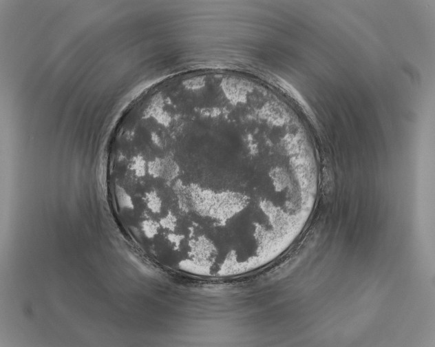 X0000112891035200910021410