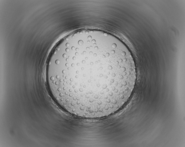 X0000112891036200910021410