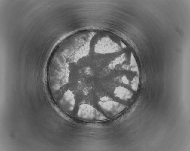 X0000112891037200910021410