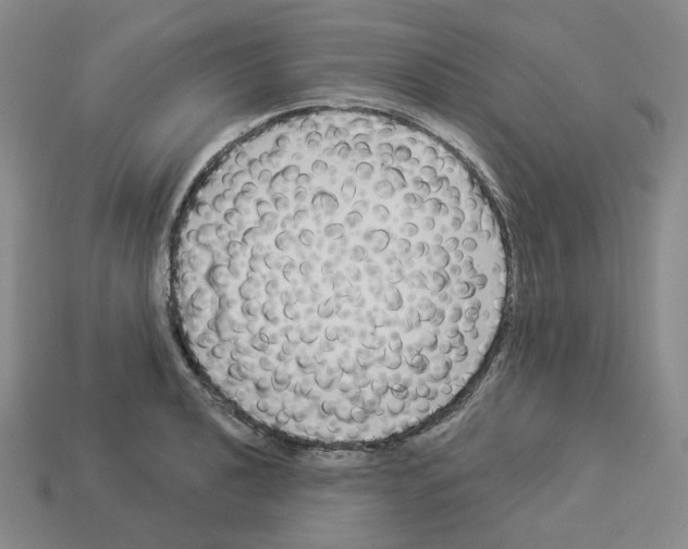 X0000112891040200910021410