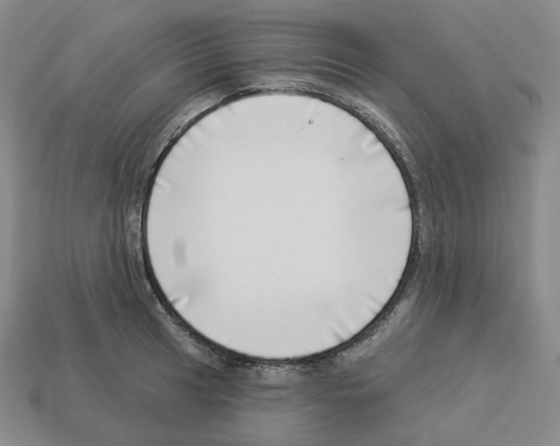 X0000112891041200910021410