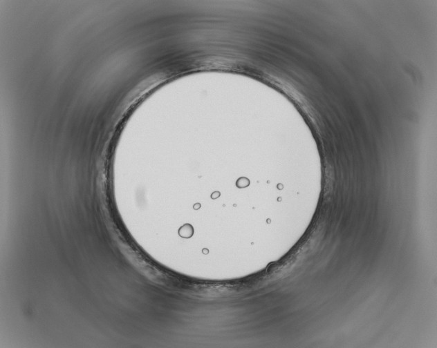 X0000112891042200910021410