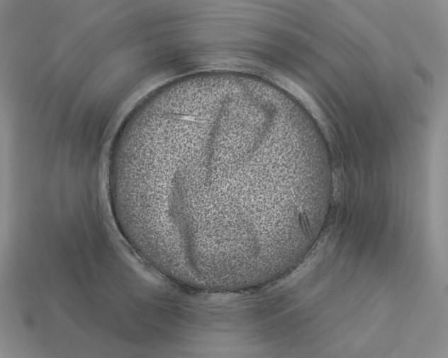 X0000112891043200910021410