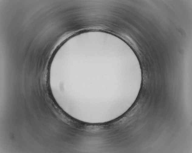 X0000112891044200910021410