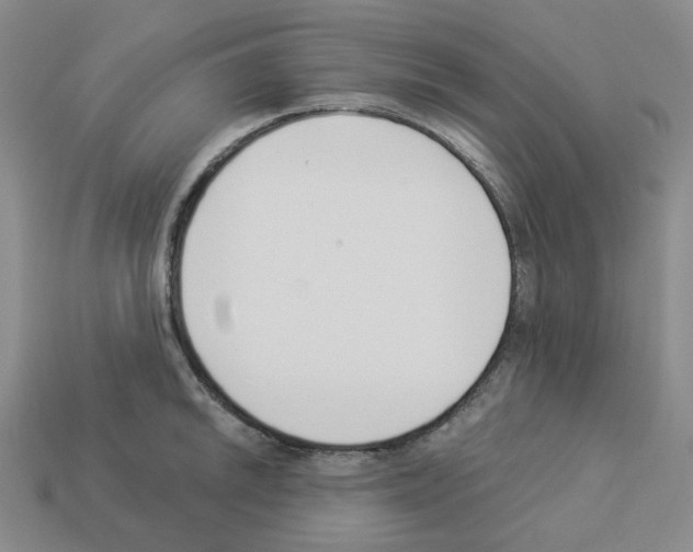 X0000112891046200910021410