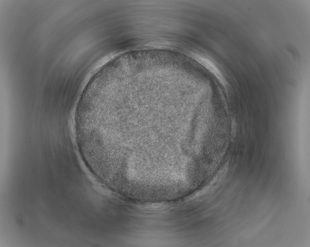 X0000112891047200910021410