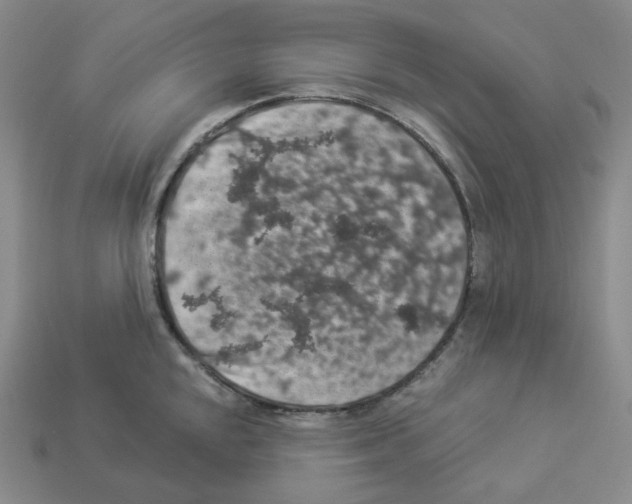 X0000112891048200910021410
