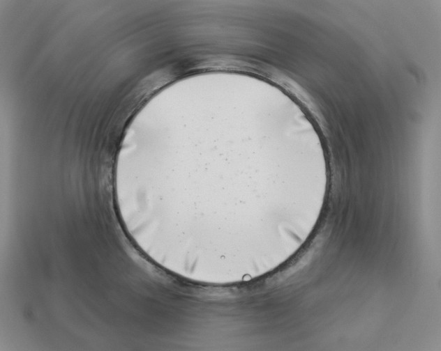 X0000112891049200910021410