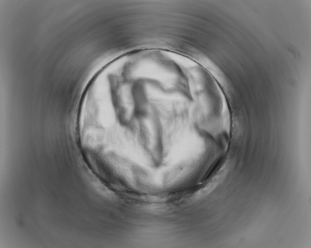 X0000112891052200910021410