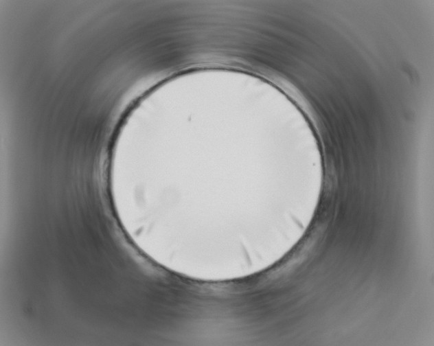 X0000112891053200910021410