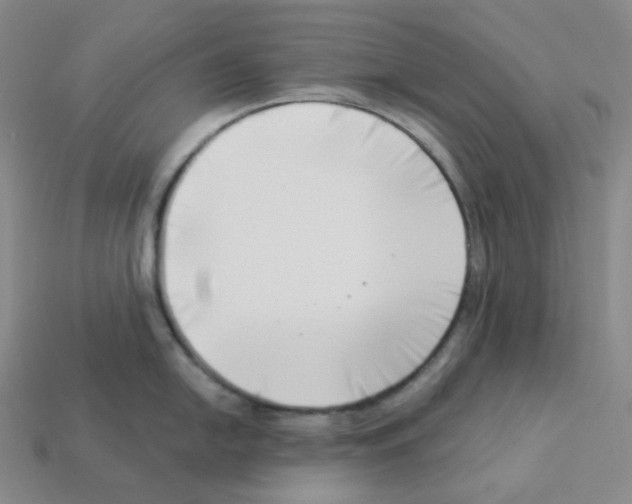X0000112891054200910021410