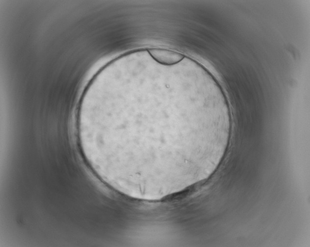 X0000112891056200910021410