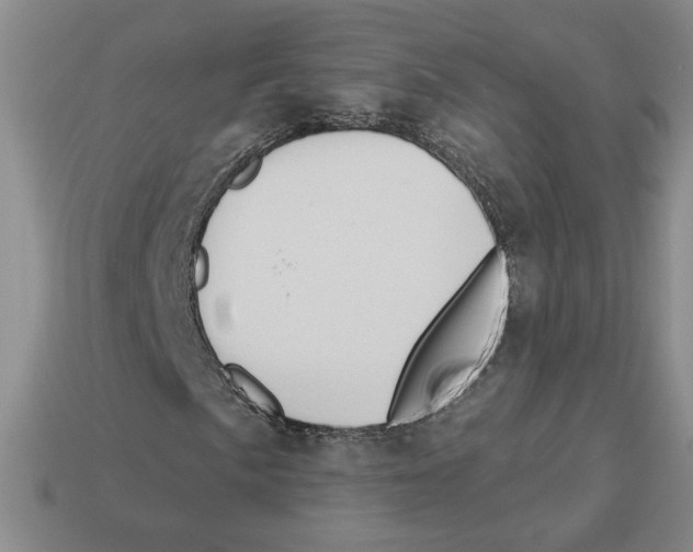X0000112891057200910021410