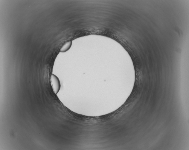 X0000112891058200910021410