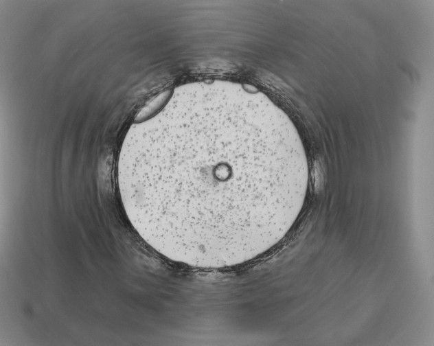 X0000112891059200910021410