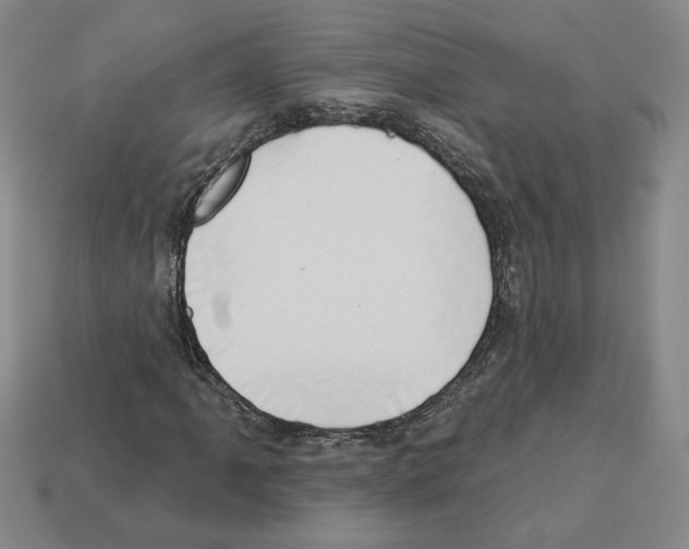 X0000112891061200910021410