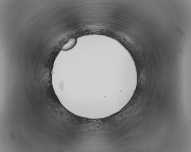 X0000112891062200910021410