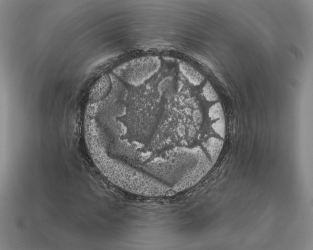 X0000112891063200910021410