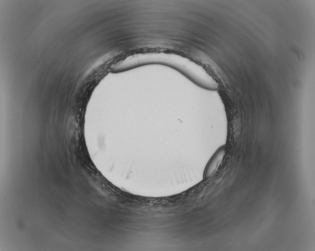 X0000112891064200910021410