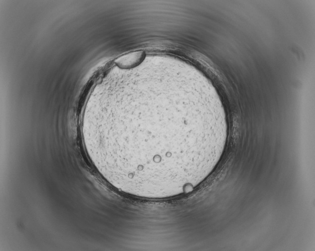 X0000112891067200910021410