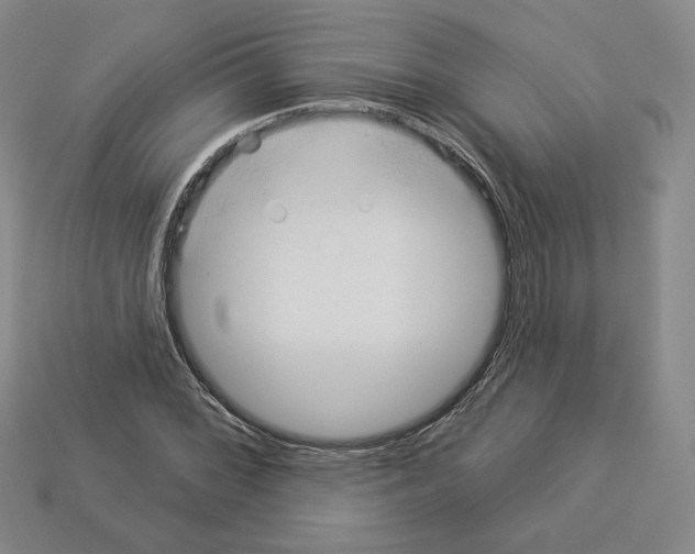 X0000112891068200910021410