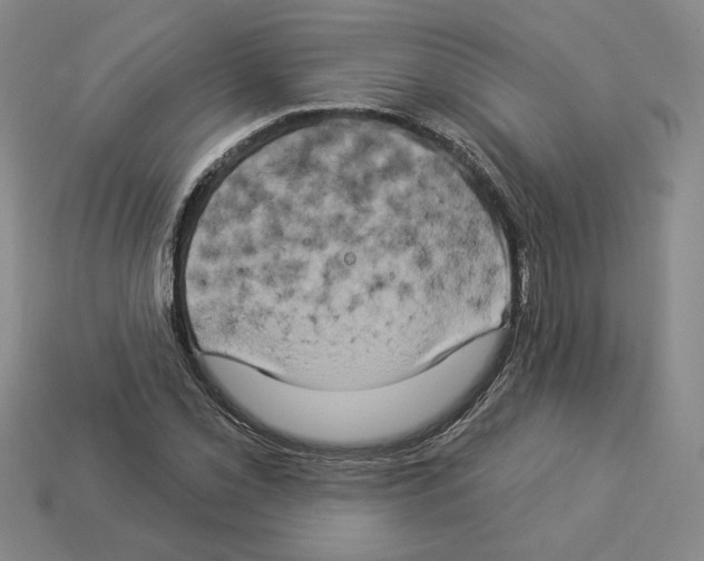 X0000112891069200910021410