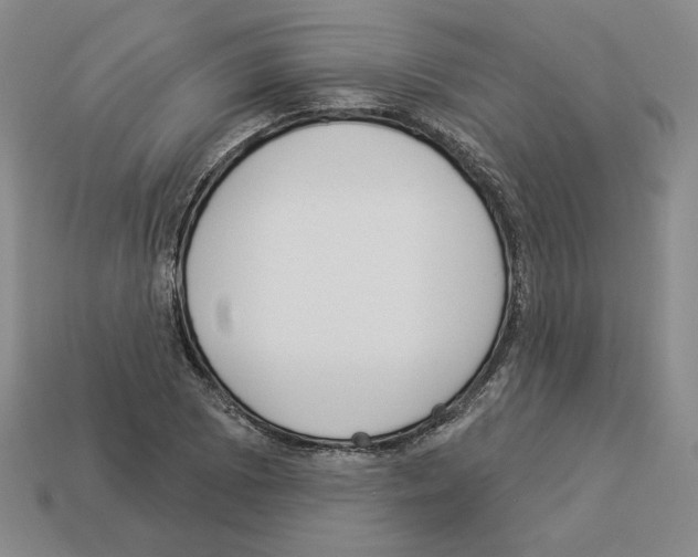 X0000112891073200910021409