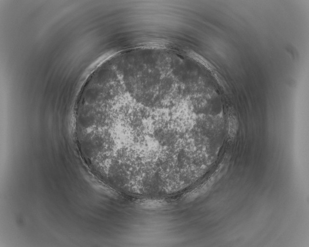 X0000112891074200910021409