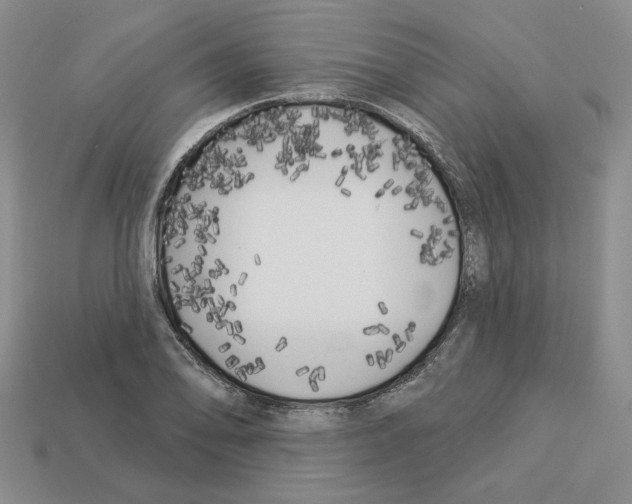 X0000112891078200910021409