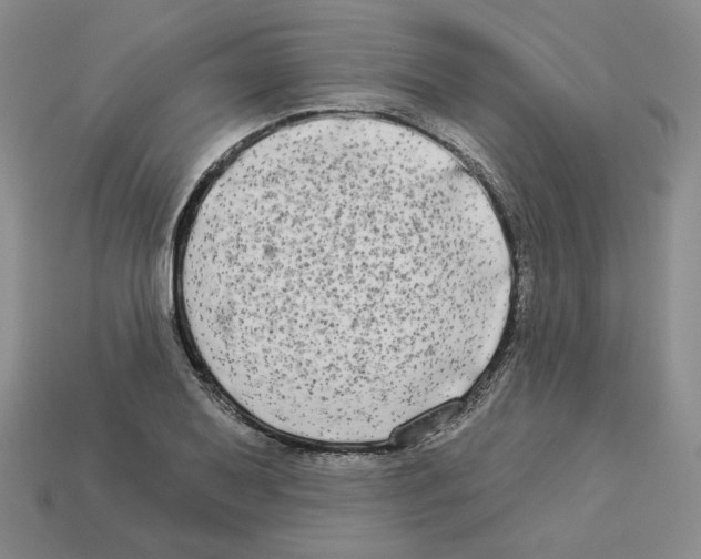 X0000112891079200910021409