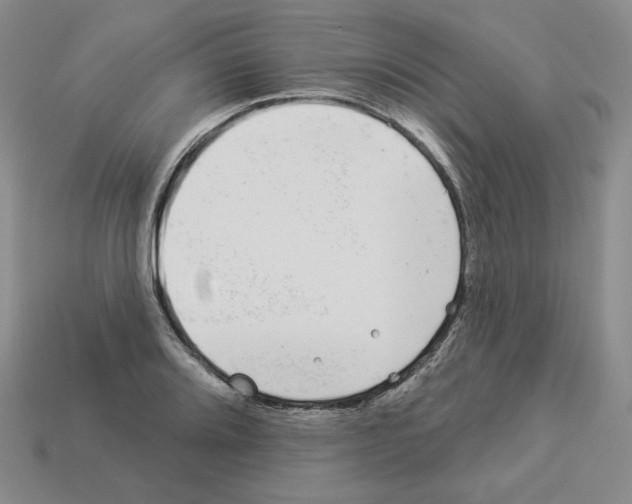 X0000112891080200910021409