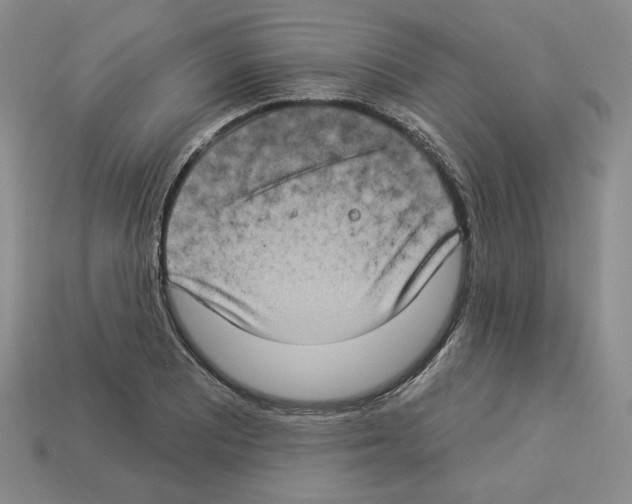 X0000112891081200910021409