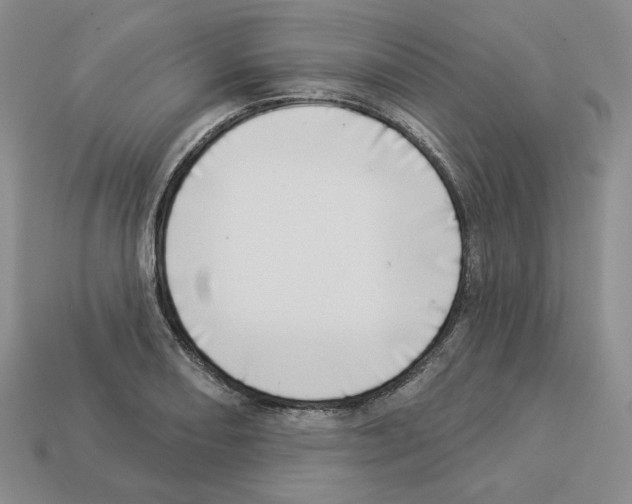 X0000112891082200910021409