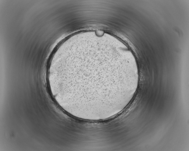 X0000112891083200910021409