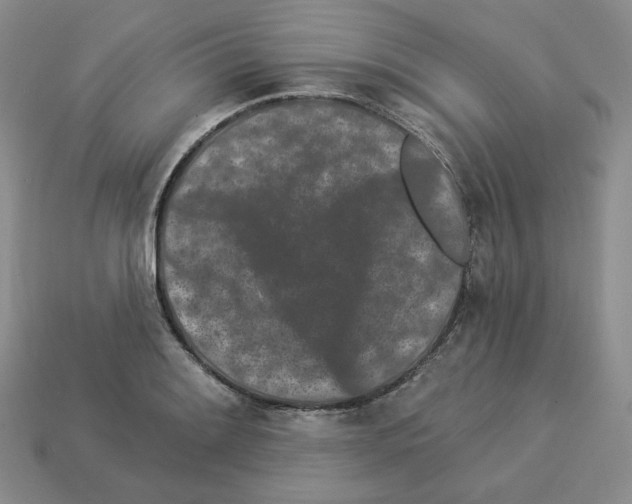 X0000112891084200910021409