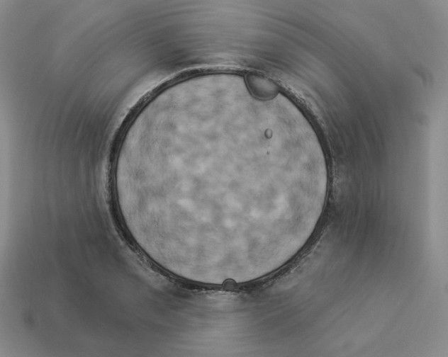 X0000112891085200910021409