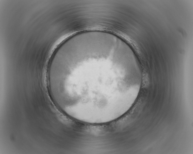 X0000112891086200910021409